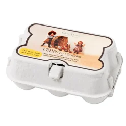 Boîte 6 œufs en chocolat
