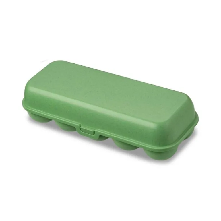 Boîte de 10 oeufs réutilisable