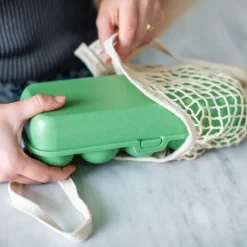 Boîte de 10 oeufs réutilisable