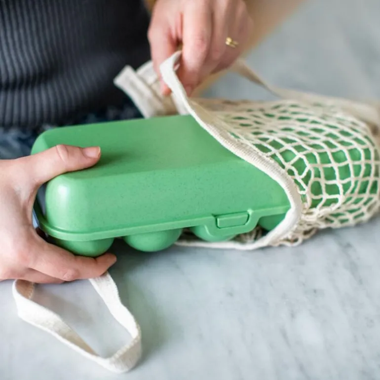 Boîte de 10 oeufs réutilisable