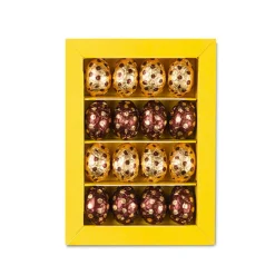 Boîte de 16 œufs en chocolat assortis Café Tasse