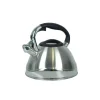 Bouilloire inox Varus 3L