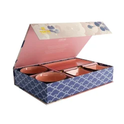 Coffret à sushis 2 pers. Glassy Rose Tokyo Design