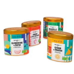 Coffret 4 thés bio aux fruits de no