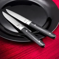 Coffret de 4 couteaux steak fusion