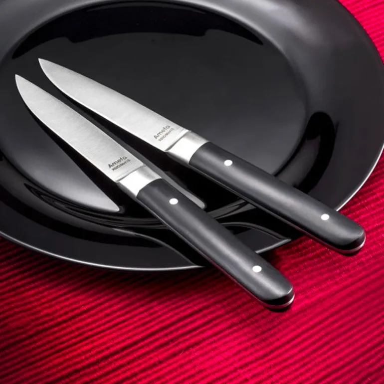 Coffret de 4 couteaux steak fusion