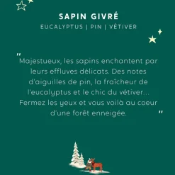 Coffret mini duo la foret sapin