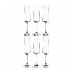 6 flûtes à champagne Paladino 22cl