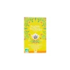 Infusion citronnelle gingembre