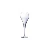 Lot de 6 flutes Arom'up 21cl