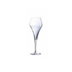 Lot de 6 flutes Arom'up 21cl