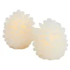 Set 2 pommes de pins cire LED 10cm