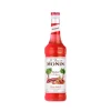 Sirop rhubarbe 70cl Monin