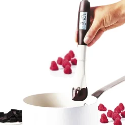 Spatule thermomètre