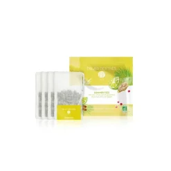 Thé glacé summer fizz bio 4 sachets