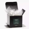 Thé vert menthe aromat 25 sachets