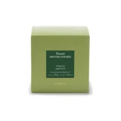 Tisane Menthe poivrée x25