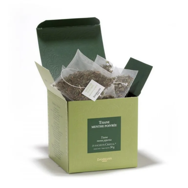 Tisane Menthe poivrée x25