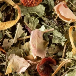Tisane Nuit à Versailles 25 sachets